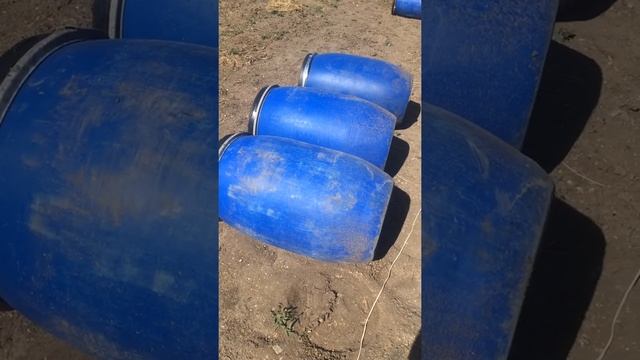 Хранение зёрна в домашних условиях смотреть онлайн