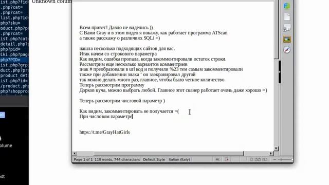 Как использовать дорки для поиска уязвимостей SQLi ATScan смотреть онлайн