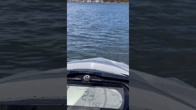 2019 SeaDoo GTX 155 - Quick Launch смотреть онлайн