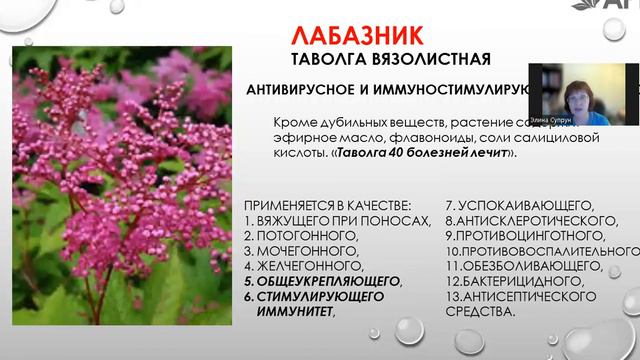 #нутрикосметика #антиоксиданты #красиваякожа Про продукт BYT красота изнутри, которую видно! смотреть онлайн