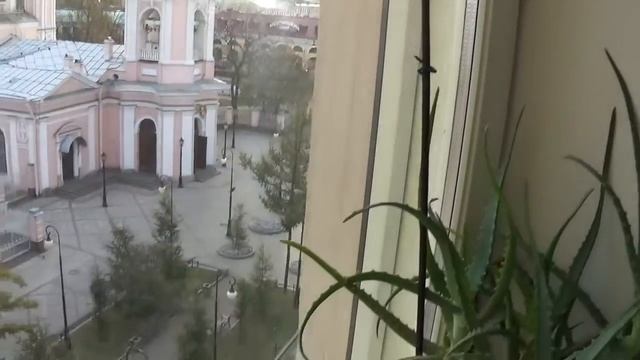 НЮСЯ НАНА НЕНИ 3 МЕСЯЦА ЩЕНОК БОРДЕР КОЛЛИ смотреть онлайн