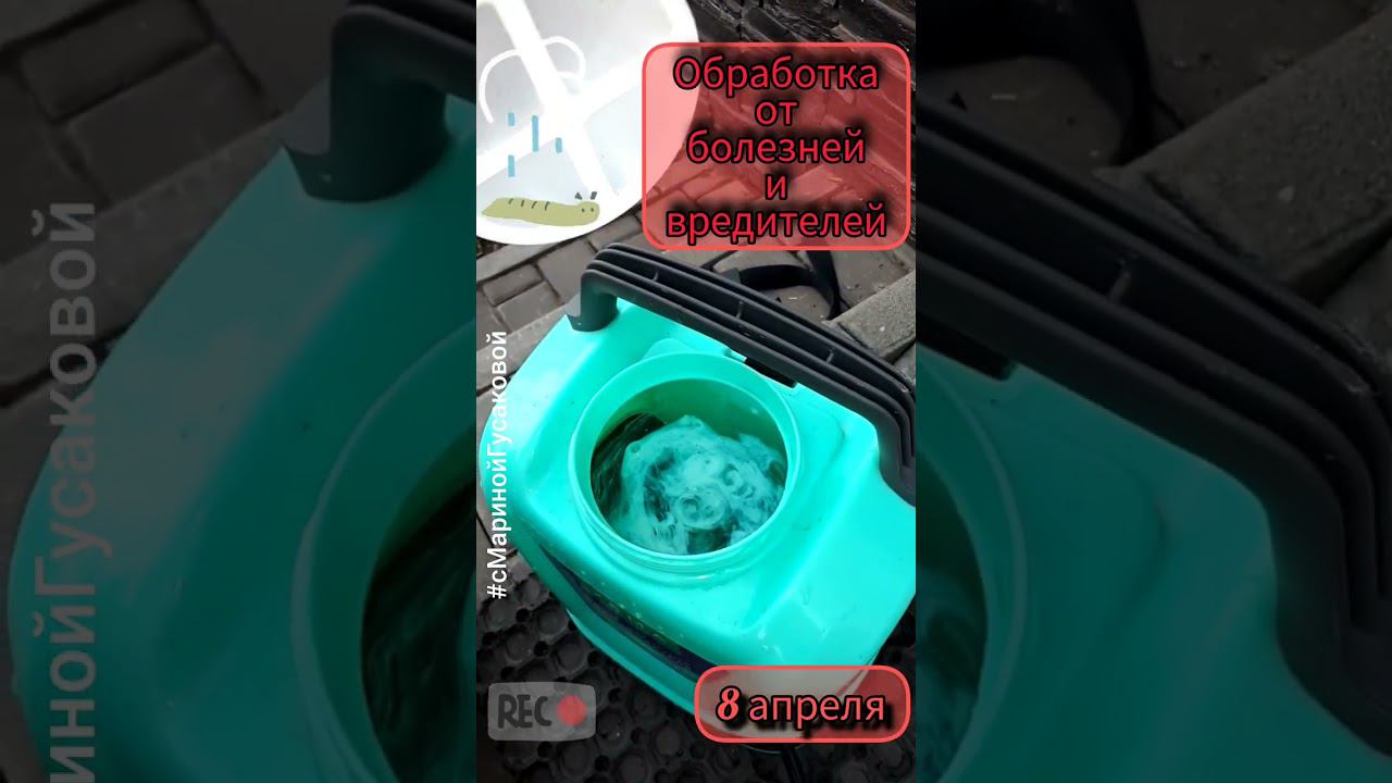 Третья ОБРАБОТКА от ВРЕДИТЕЛЕЙ и болезней! ОПРЫСКИВАЕМ САД | с Мариной Гусаковой 8 апреля смотреть онлайн
