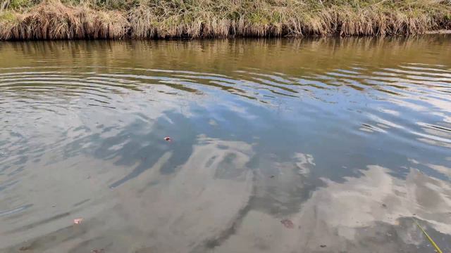 ✅🔥ТОП ПЕТАРД + РЕКА 💦 ВЗОРВАЛ МОЩНУЮ ПЕТАРДУ ПОД ВОДОЙ💦РАКЕТЫ В ВОДЕ 💥 МОЩНЫЕ Р23 И КОРСАР 8 смотреть онлайн