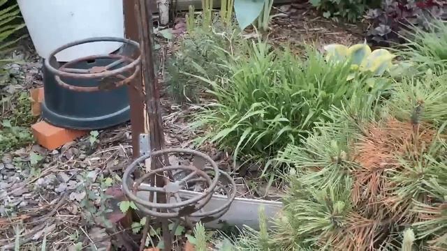 ПРОГУЛКА ПО САДУ . МАЙ 2023 смотреть онлайн