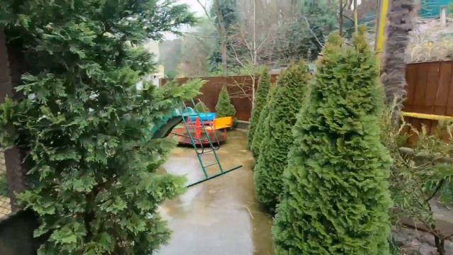 Квартира в Сочи с видом на море/ Три шага до чёрного моря/Подробный обозор! смотреть онлайн