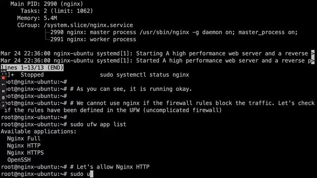 How to Install NGINX on Ubuntu 20.04 | ServerMania смотреть онлайн