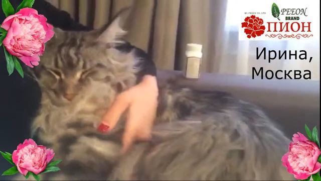 Ирина, Москва отзыв об аптеке Пион в Тайланде смотреть онлайн