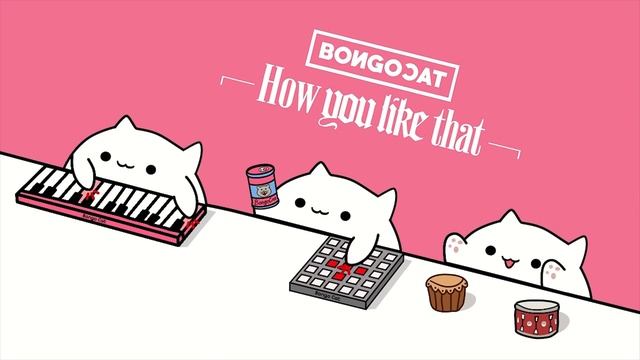 Bongo Cat - 'How You Like That' BLACKPINK ? смотреть онлайн