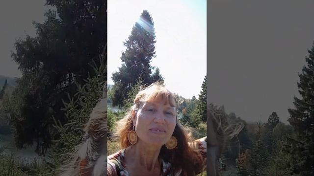 "Я Рисую????? Книгу? Жизни☀???✨!!!" смотреть онлайн
