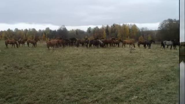 История села Никольское смотреть онлайн