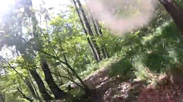 Большие Верблюды смотреть онлайн