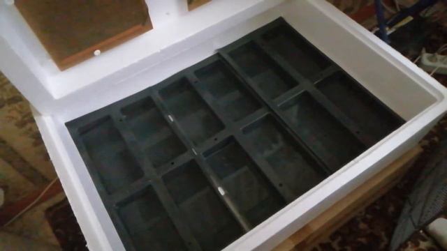 19 день инкубации. Закладка яйца на вывод смотреть онлайн
