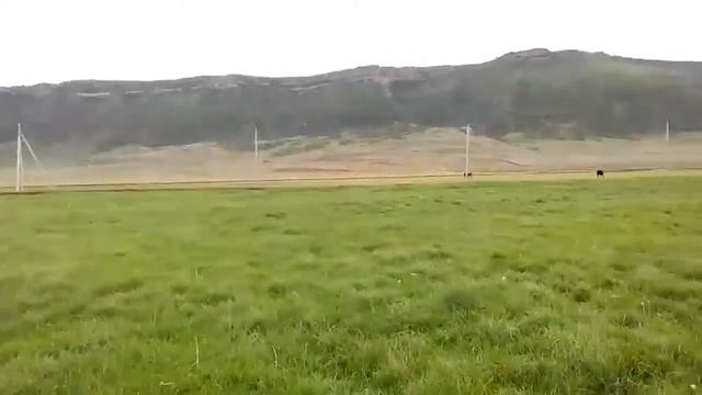 Новый кумух смотреть онлайн