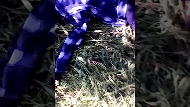 Грош нашел бомжа в поле смотреть онлайн
