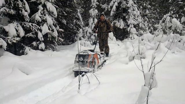 Иноходец, буксировщик Спонсор и ещё один снегоход, прорыв через лес. смотреть онлайн