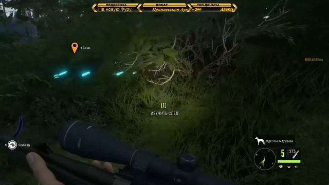 TheHunter: Call Of The Wild - Bloodhound