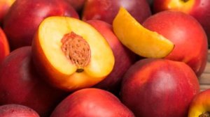 Выращивание нектарина на участке как бизнес идея