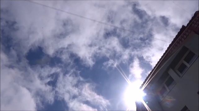Голуби и песня смотреть онлайн