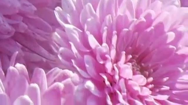 Panasonic Lumix GH3 Digital Camera Review смотреть онлайн