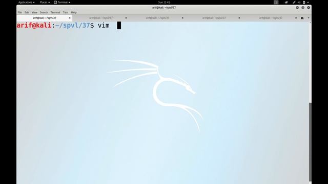 Lec37 Socket Programming Part-IV (Arif Butt @ PUCIT) смотреть онлайн
