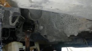 Замена масла и фильтра Шкода Рапид 1.6 16V (Skoda Rapid), Октавия, VW Polo и другие авто