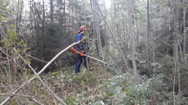 Я не особо понимаю по стрелочным часам смотреть онлайн