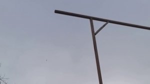 #Голуби #Дагестана.  Голуби Исаева Фазиля в г.Даг-Огни!