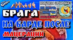 Ни грамма врагу , всё в дело . Брага на барде после мацерации концентрированного виноградного сока.