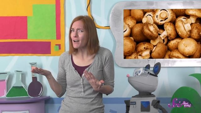 Fungi: Why Mushrooms Are Awesome | Biology For Kids