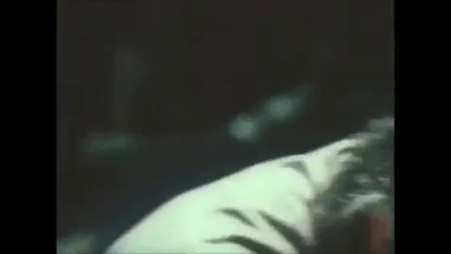 Смешное видео про грибы смотреть онлайн