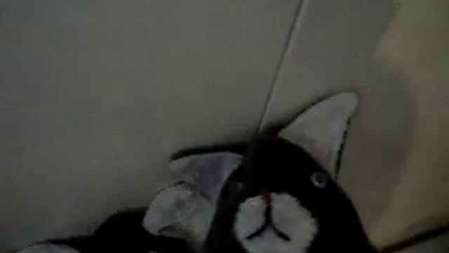 костюмы медведей и кошек на кукол Монстер хай смотреть онлайн