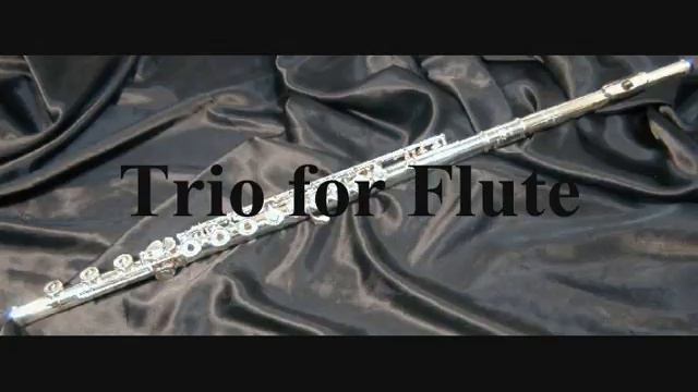 Trio for Flute смотреть онлайн