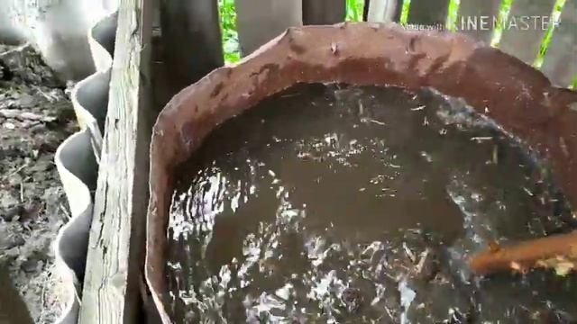 Лучшее удобрение для всех растений ,минимум затрат бабушкин способ смотреть онлайн