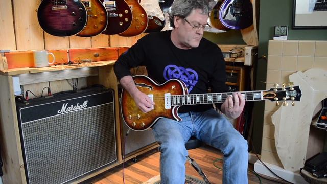 Vinny Burns   Serval LP