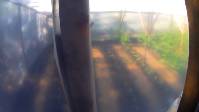Затенение Теплицы Краской с помощью Краскопульта покраска Пленки теплицы Огурца Помидор быстро смотреть онлайн