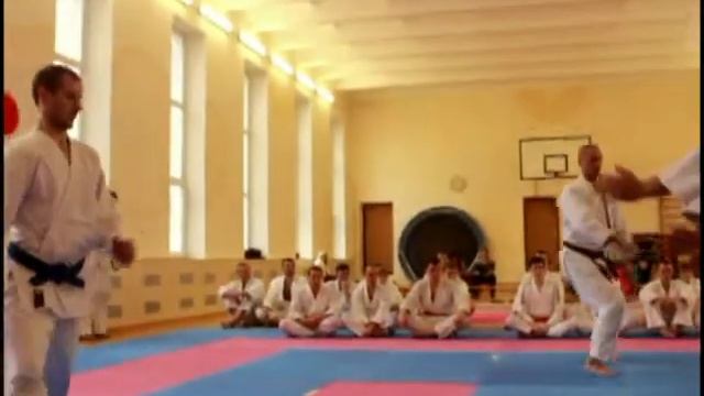 3-1 КЮ 2015 АЙКИДО ЁСИНКАН НОВОПОЛОЦК смотреть онлайн