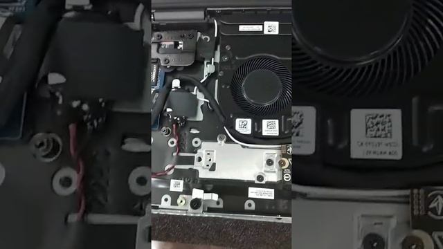 Dell Latitude 3520 Comes with 2.5" Bracket, Cable and Screw смотреть онлайн