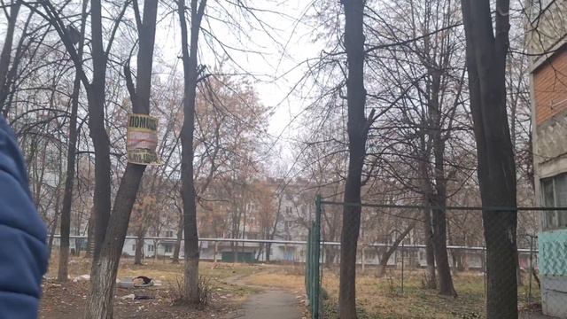Повезли щенков в клинику смотреть онлайн