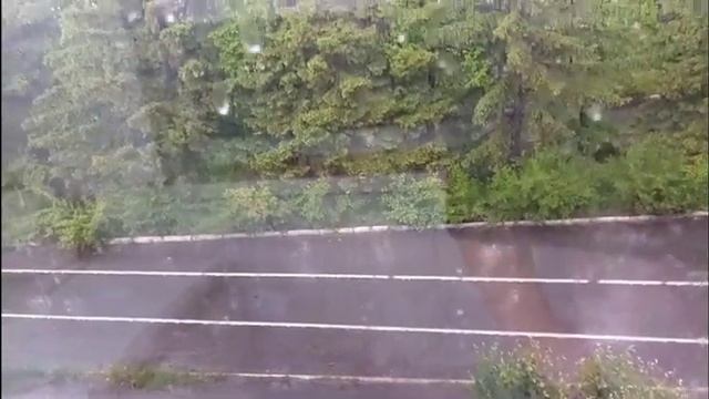 КАК ЦВЕТЕТ ЕЛЬ//ПОКУПКИ//ПОПАЛИ ПОД ЛИВЕНЬ//ФОТОСЕССИЯ// смотреть онлайн