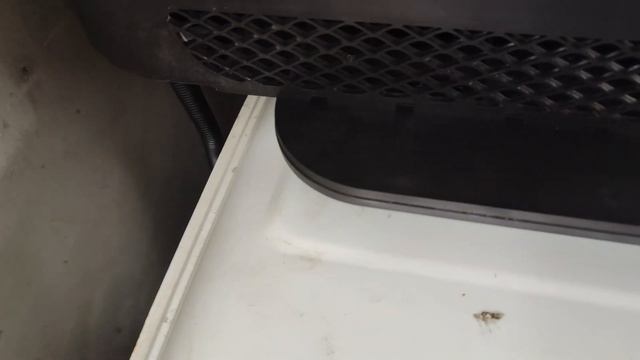 Умопомрачительный Ali.