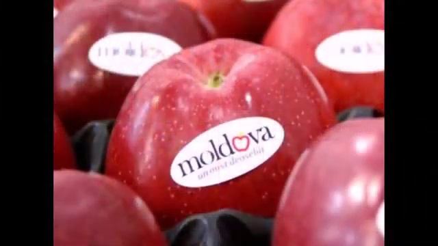 Молдавская свадебная музыка четвёртая часть смотреть онлайн