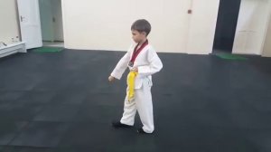 2 пхумсе Тхэквондо WTF