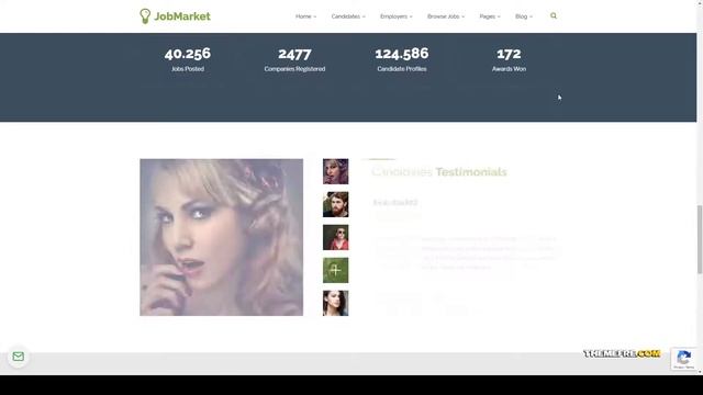Hidaka - Job Multipurpose WordPress Theme jobs recruitment смотреть онлайн