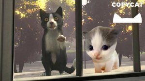 🐈Проходим игру про КОТА Copycat вместе с Вилли(360p)