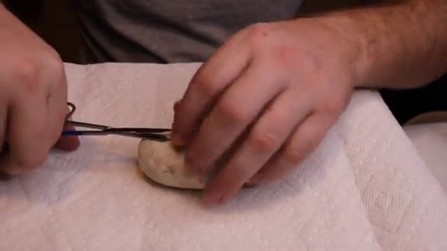 Clutch #4 Clown X Pastel Lesser GHI | Ball Python Egg Pulling and Cutting смотреть онлайн