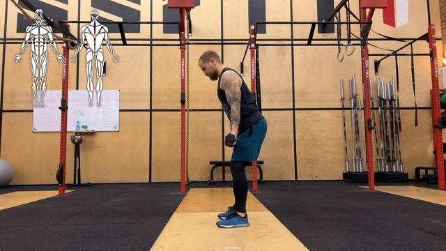 Подъем на бицепс с гантелями смотреть онлайн