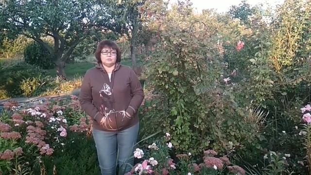Опавшие листья:сжигать нельзя,мульчировать(ленивый компост и др) смотреть онлайн