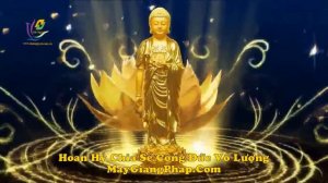 Nhạc niệm Phật HAY NHẤT (bản HD hơn 5h)  Đạo Tràng Phước Ngọc