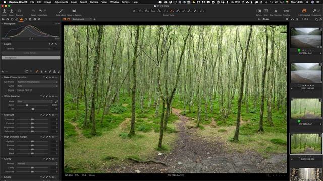 How To Add Haze and Fog in Capture One смотреть онлайн