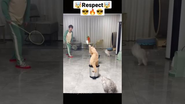 Невероятные скиллы ???? #shorts #respect смотреть онлайн